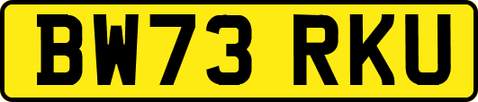 BW73RKU