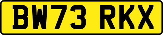 BW73RKX