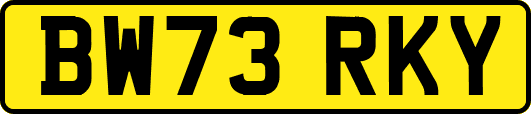 BW73RKY