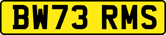 BW73RMS