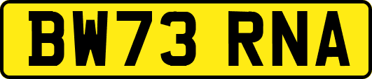BW73RNA