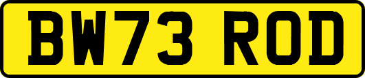 BW73ROD