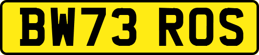 BW73ROS