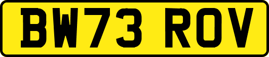 BW73ROV