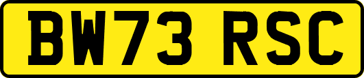 BW73RSC