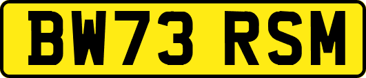 BW73RSM