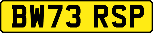 BW73RSP