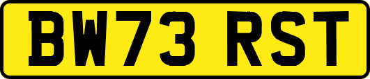 BW73RST