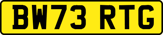 BW73RTG