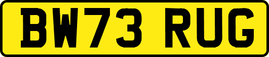 BW73RUG