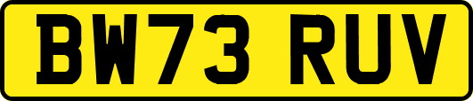BW73RUV