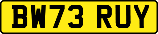BW73RUY