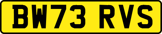 BW73RVS