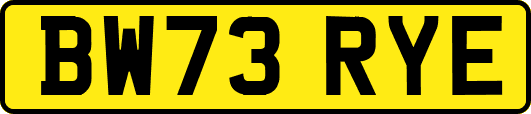 BW73RYE