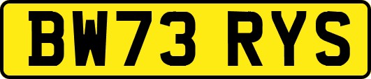BW73RYS