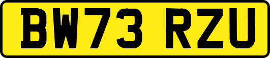 BW73RZU