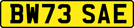 BW73SAE