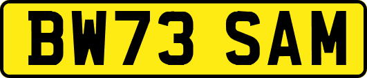 BW73SAM