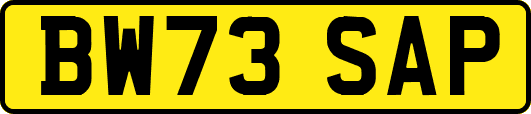 BW73SAP