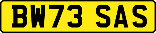 BW73SAS