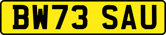BW73SAU