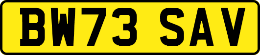 BW73SAV