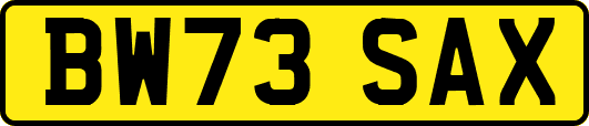 BW73SAX