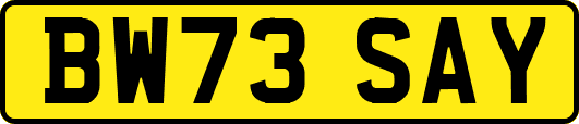 BW73SAY