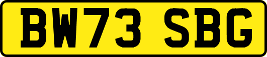 BW73SBG