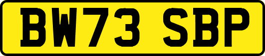 BW73SBP