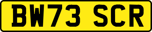 BW73SCR