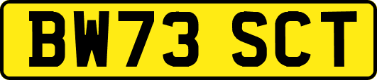 BW73SCT