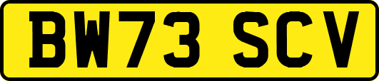 BW73SCV