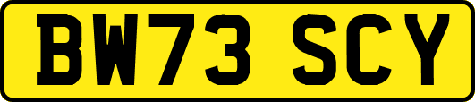 BW73SCY