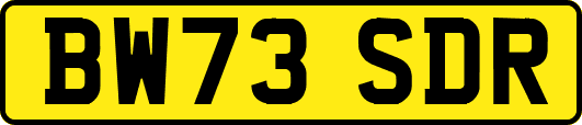 BW73SDR