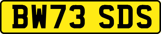 BW73SDS