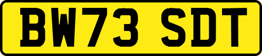 BW73SDT