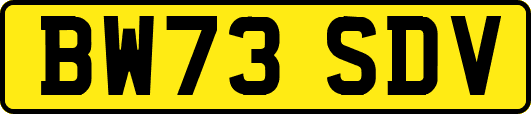 BW73SDV