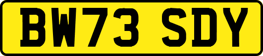 BW73SDY
