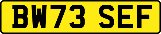 BW73SEF
