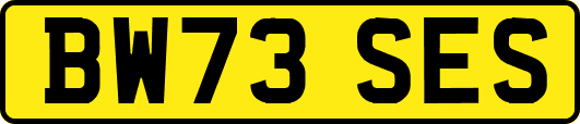 BW73SES