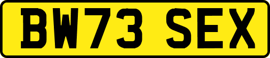 BW73SEX