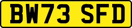 BW73SFD