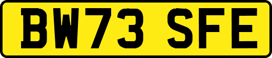 BW73SFE