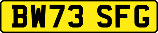 BW73SFG