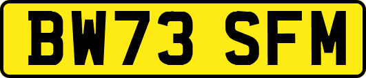 BW73SFM