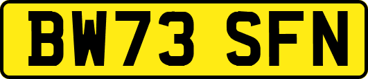 BW73SFN