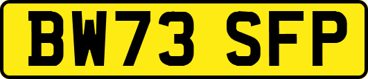 BW73SFP