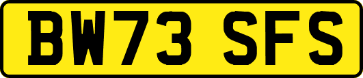 BW73SFS