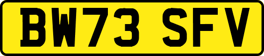 BW73SFV